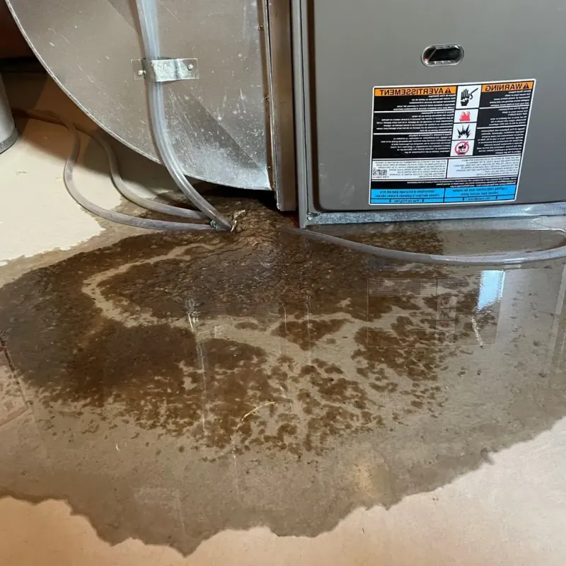 Pipe Burst and Leak Restoration in Eldorado at Santa Fe, NM
